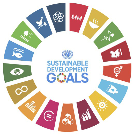 Die 17 Ziele für nachhaltige Entwicklung der Vereinten Nationen (SDGs)